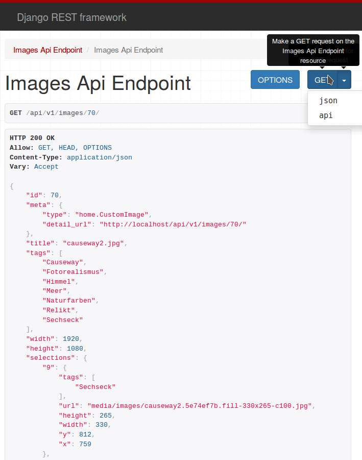 _images/rest_endpoint.png